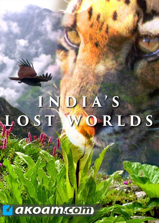 Потерянные миры Индии (2015)