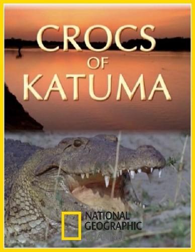 National Geographic. Крокодилы Катумы (2010)