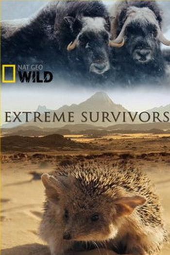National Geographic. Выжить несмотря ни на что (2014)