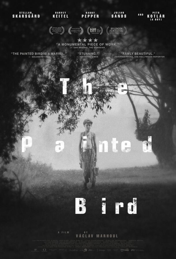 Раскрашенная птица (2019) BD