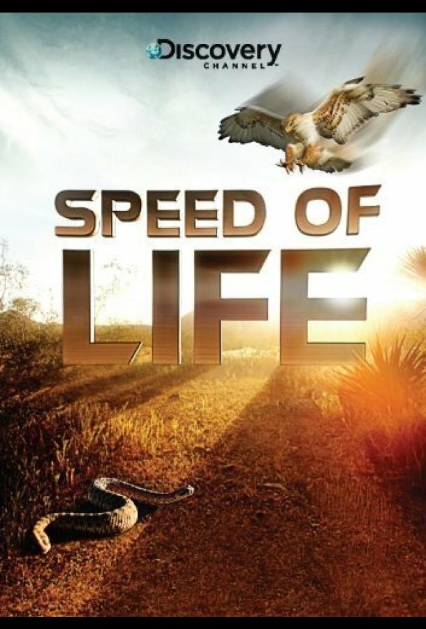 Скорость жизни (2010)