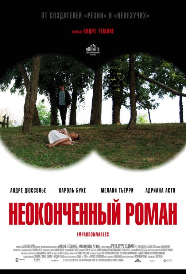 Неоконченный роман (2011)