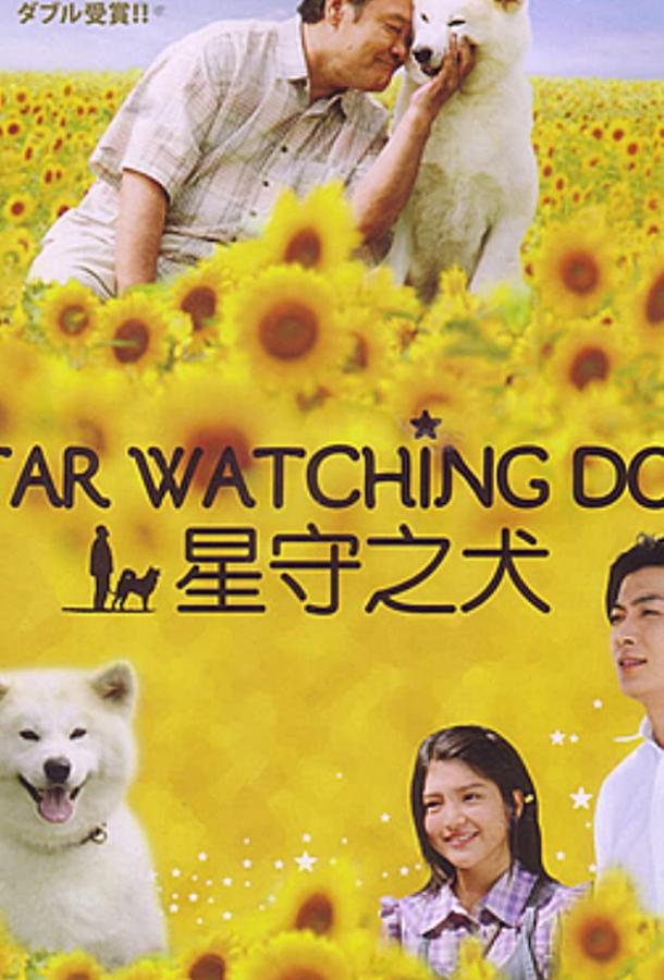 Пёс, смотрящий на звезды (2011)