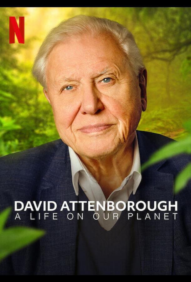 Дэвид Аттенборо: Жизнь на нашей планете (2020)