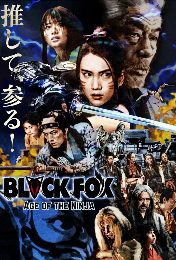 Чёрная лиса: Эпоха ниндзя (2019)