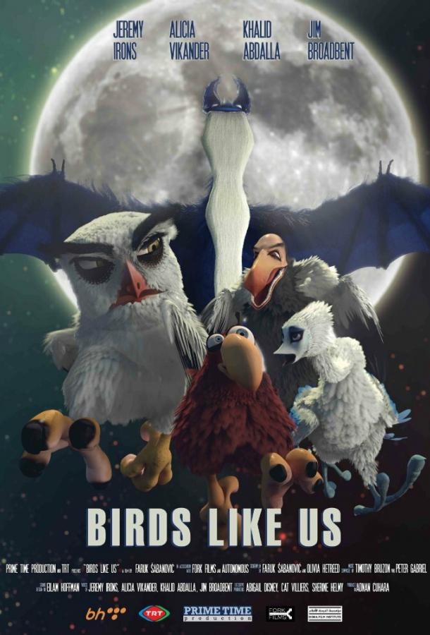 Птицы, как мы (2017)