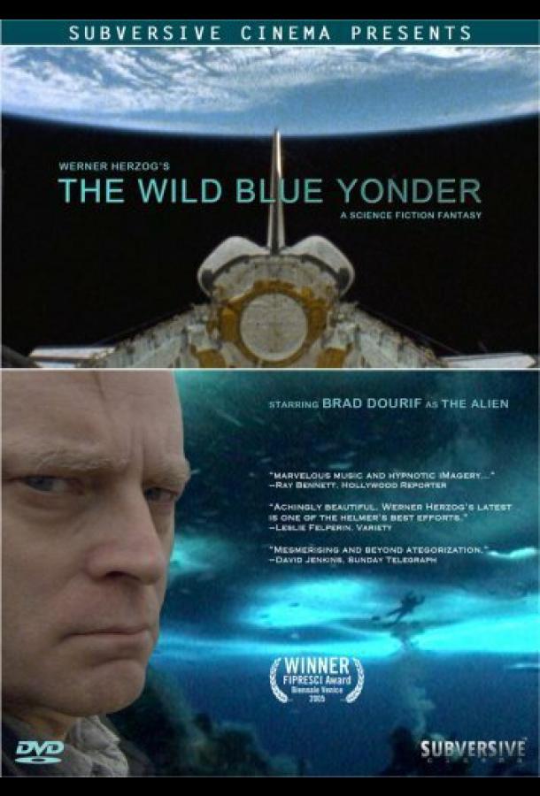 Далекая синяя высь (2005)