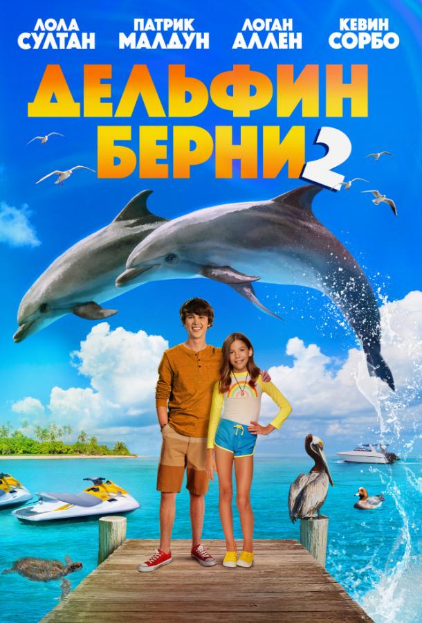 Постер Дельфин Берни 2