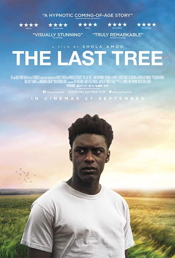 Постер Последнее дерево
