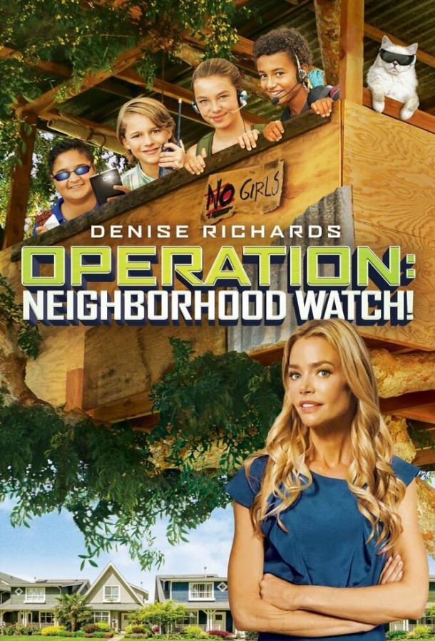 Операция «Сосед» (2015)