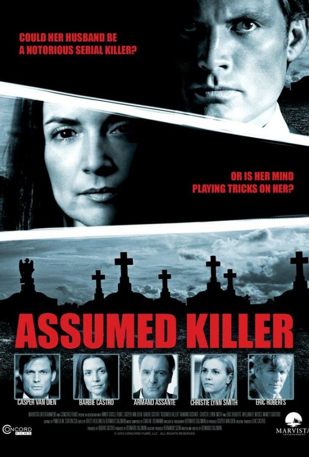 Предполагаемый убийца (2013)