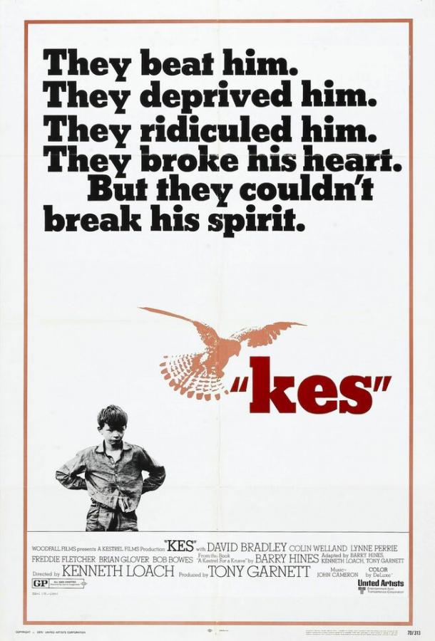 Постер Кес