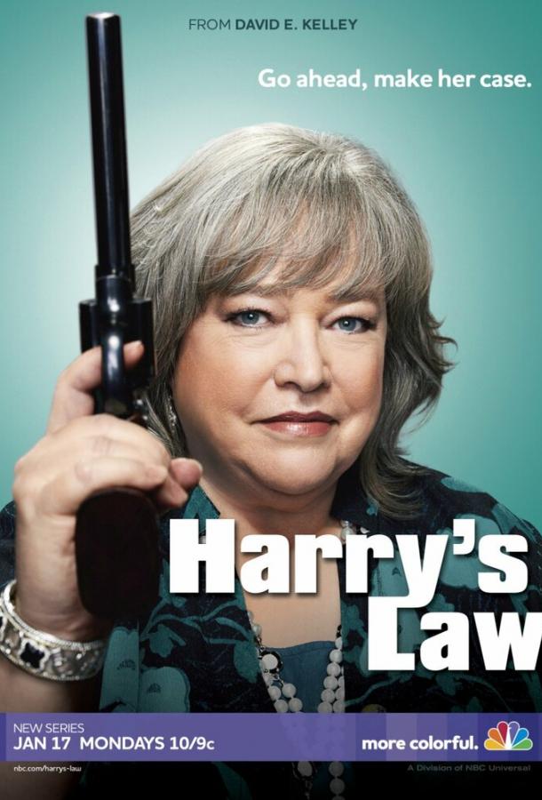 Постер Закон Хэрри
