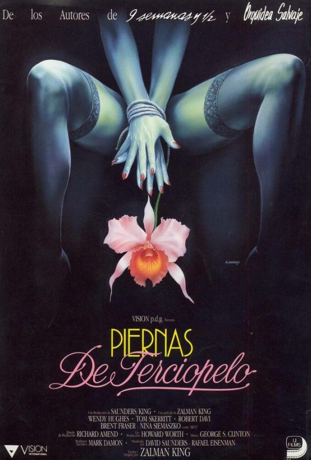 Дикая орхидея 2: Два оттенка грусти (1991)