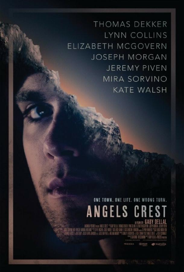 Постер Герб ангелов