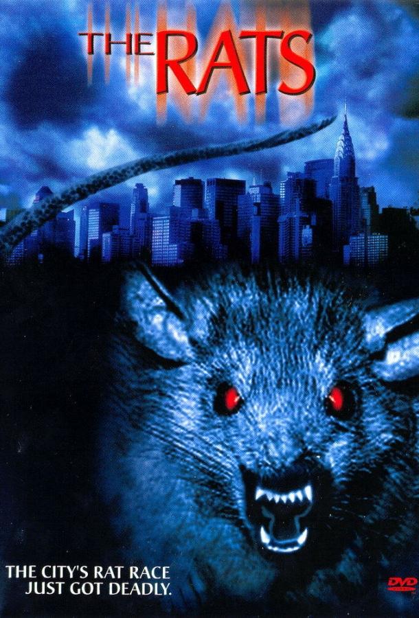 Постер Крысы