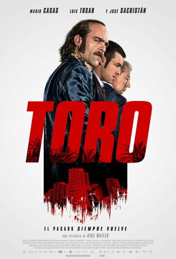 Постер Торо