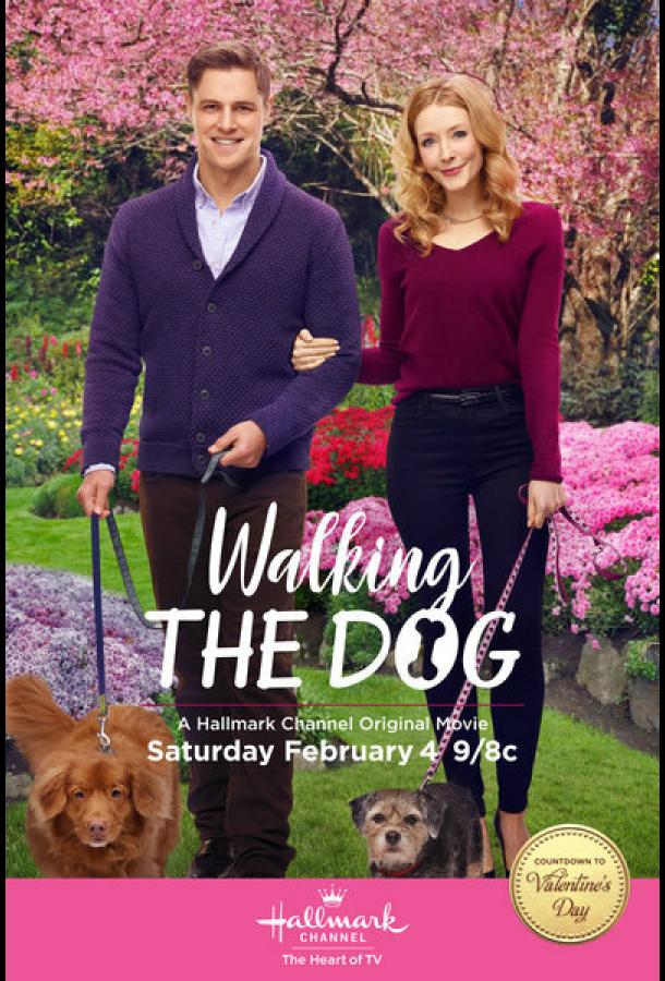 Постер Прогулка с собакой