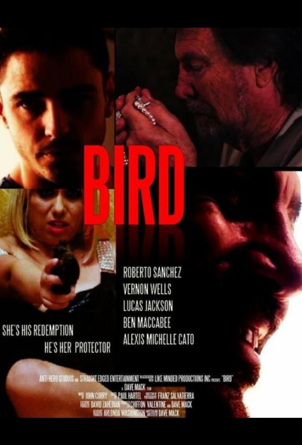 Пташка фильм (2020)