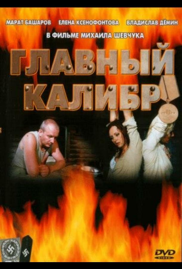 Главный калибр сериал (2006)