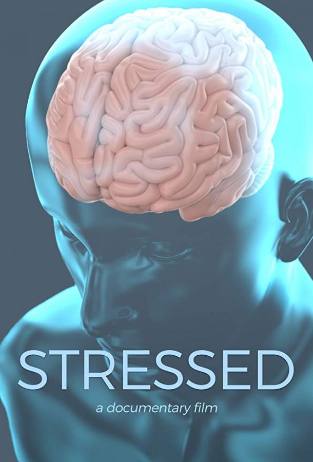 В состоянии стресса (2019)