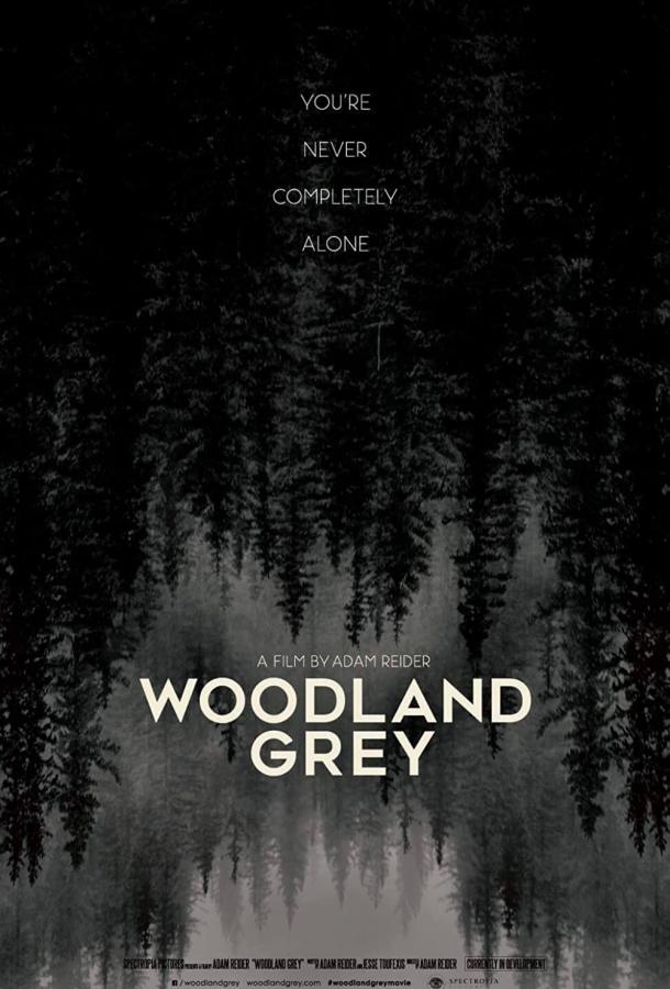 Серый лес фильм (2022)