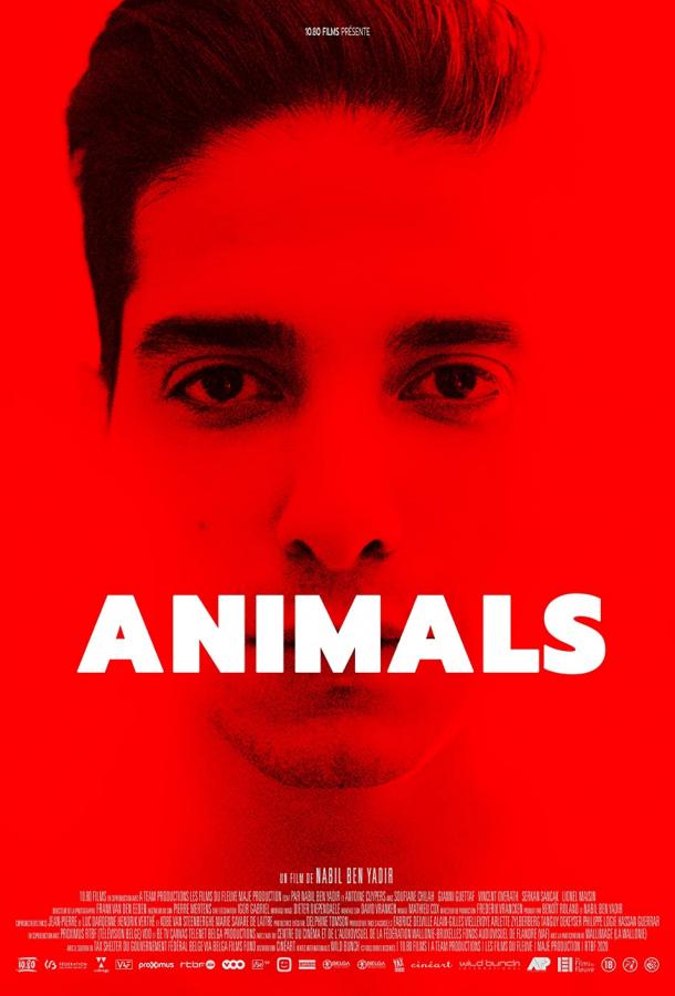 Животные фильм (2021)
