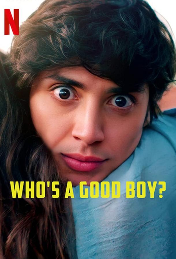 Кто хороший мальчик? фильм (2022)