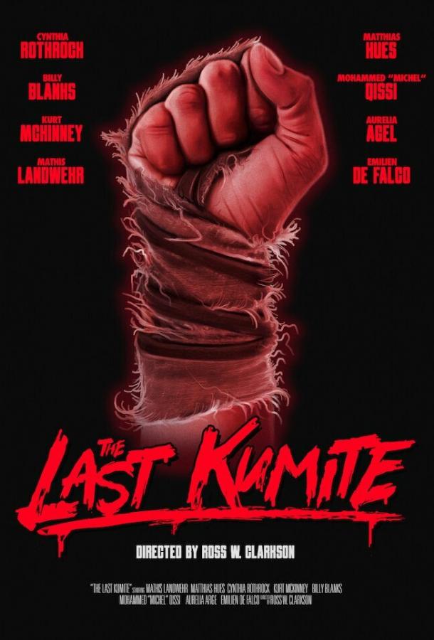 Последнее Кумите / The Last Kumite 2024 смотреть онлайн