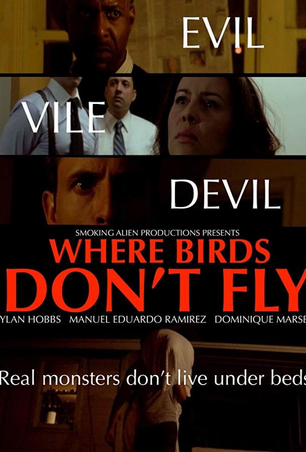 Где птицы не летают (2017)