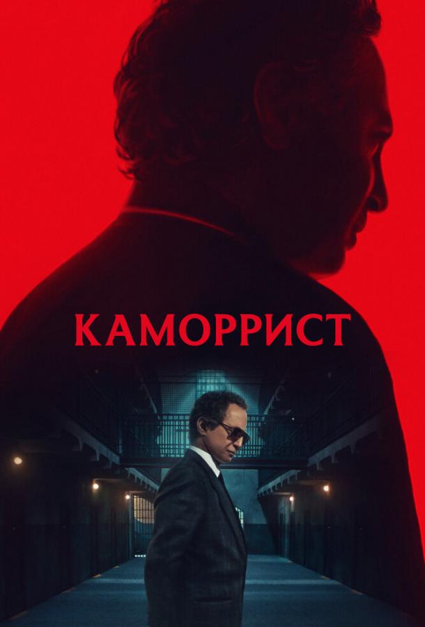 Постер для: Каморрист