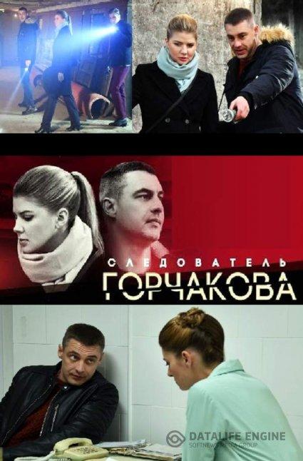 Следователь Горчакова (2019)