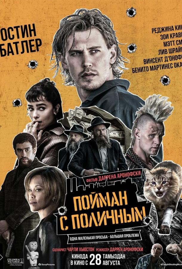 Постер для: Пойман с поличным
