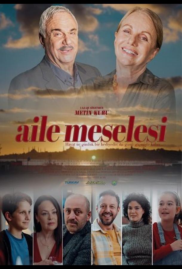 Постер фильма Семейные вопросы