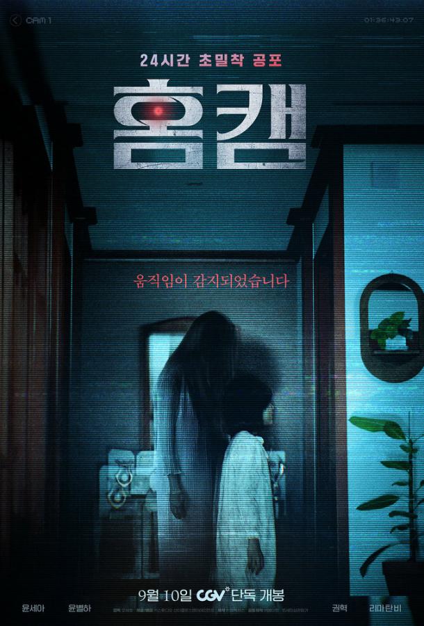 «Домашняя камера»