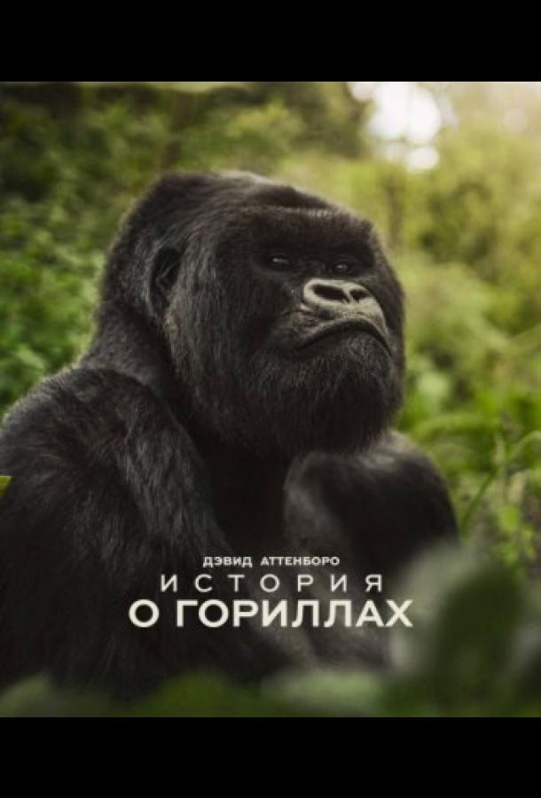 Devid Attenboro. Gorilla hikoya