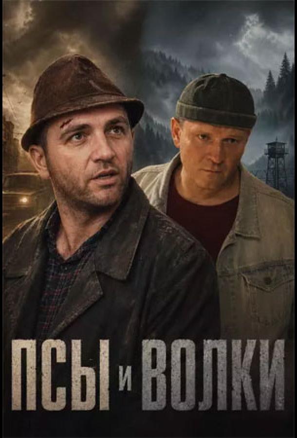 Itlar va bo'rilar