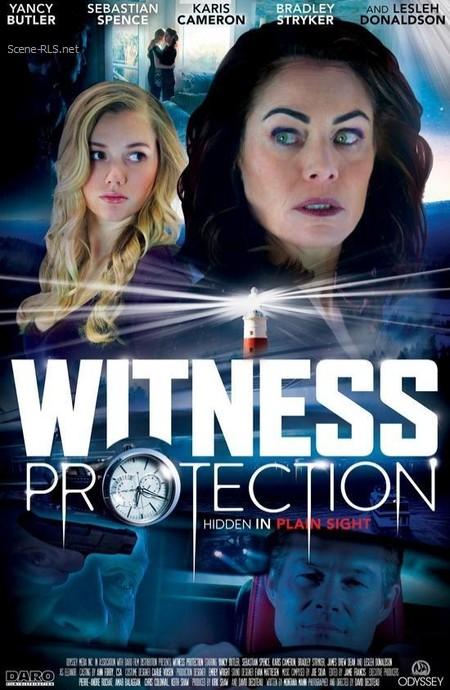 Программа защиты свидетелей (2017)