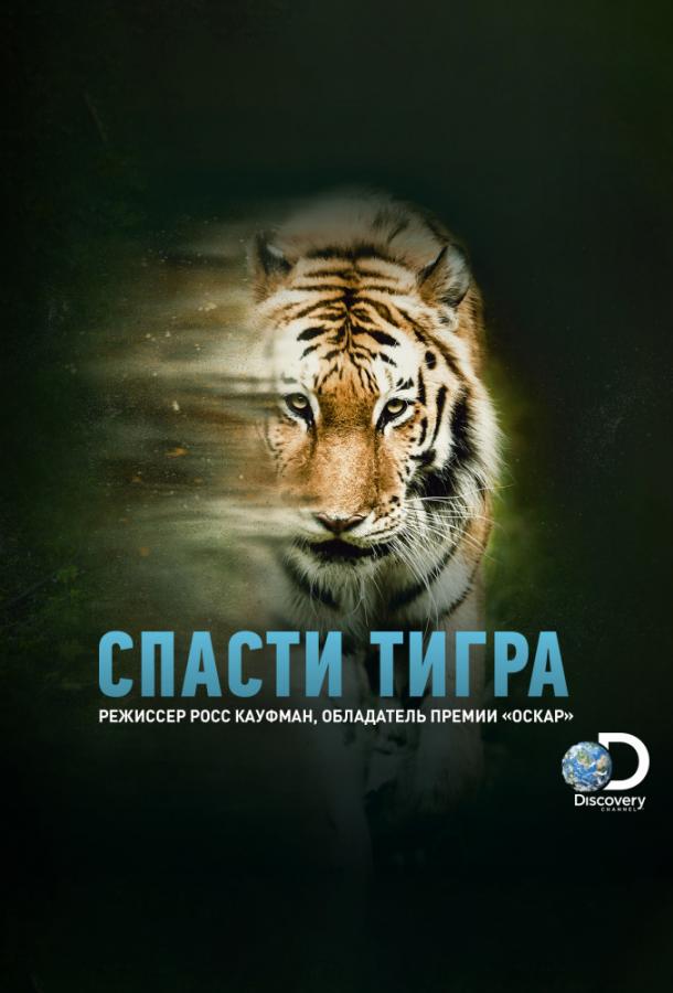 Animal Planet: Спасти тигра (2019)