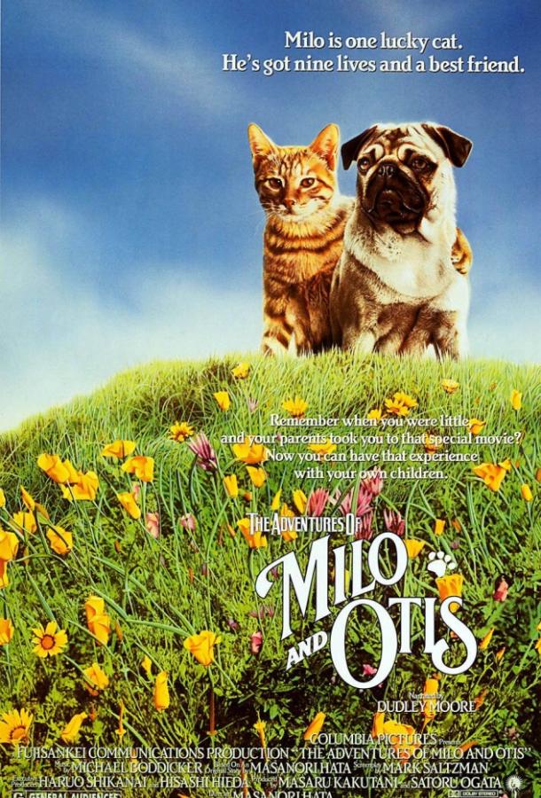 Постер Приключения Майло и Отиса