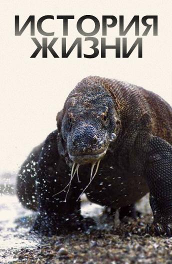 История жизни