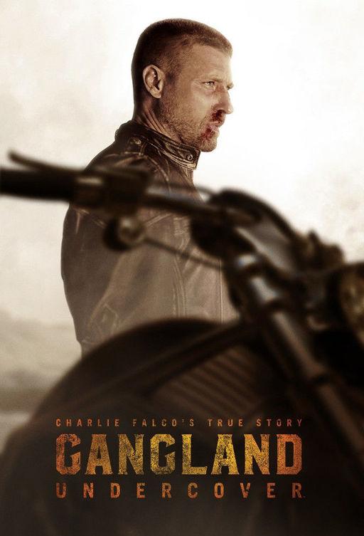 Под прикрытием