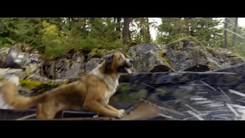 Фильм Зов севера