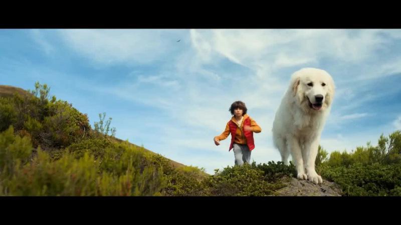 белль и себастьян 2022