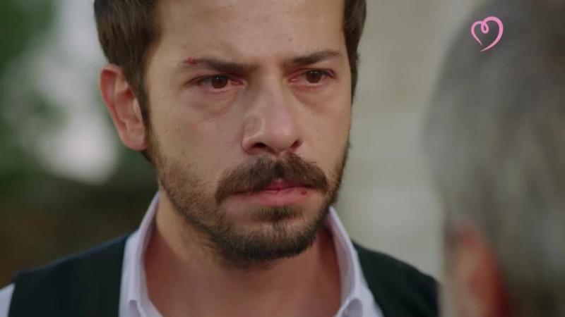 Ветреный турецкий на русском языке 32. Ветреный турецкий.