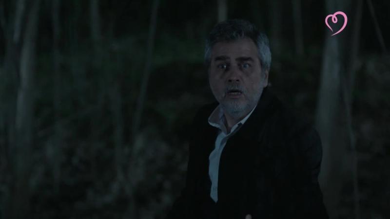 Ветреный турецкий 46 русский язык