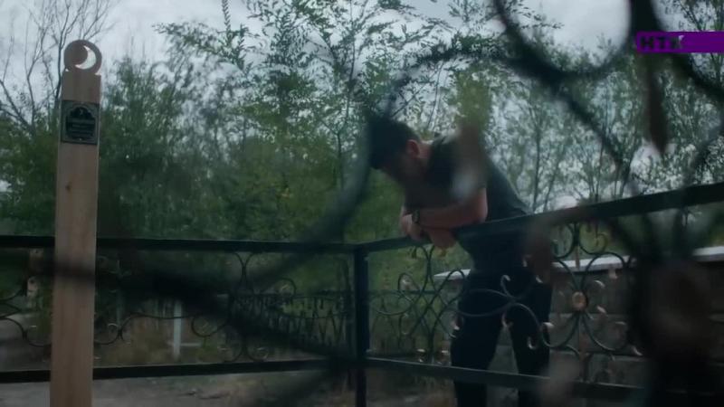 Мяу 1 2 3 спасибо перевод. Мяу 1 2 3 спасибо перевод